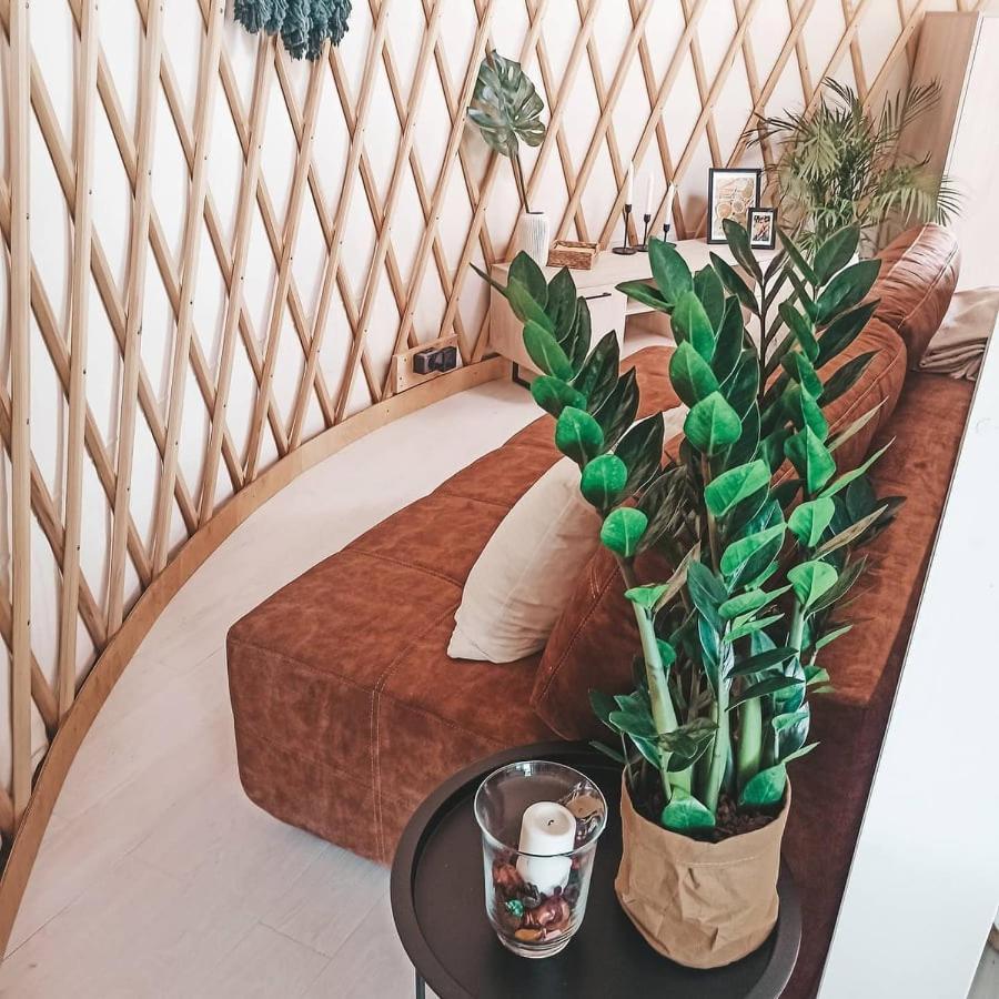 فندق Jurty Glamping غوستينين المظهر الخارجي الصورة
